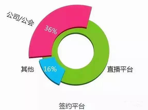 网络主播的身份界定：是否应归类为公众人物？