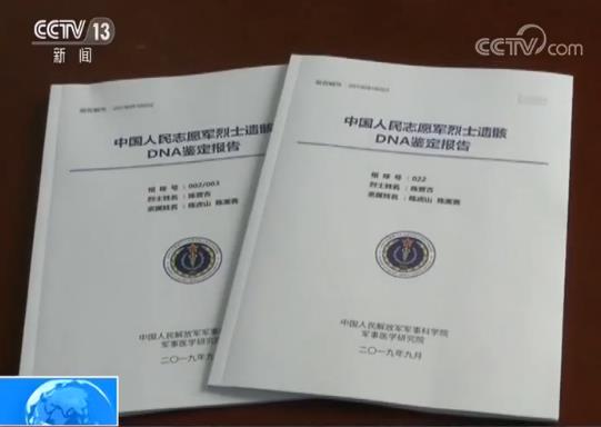 罪犯身份下的工伤认定难题：如何判决罪犯工伤案件？