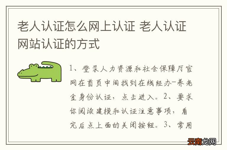 老年人群网上身份认证全攻略：轻松掌握在线验证流程