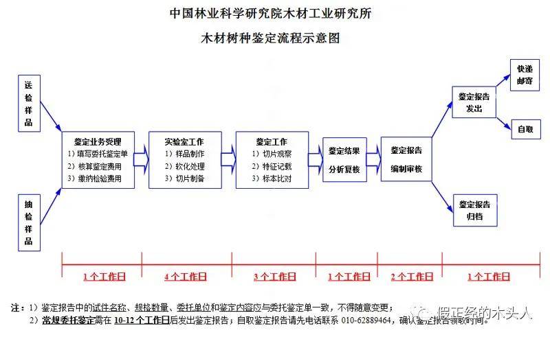 耳部伤残程度与等级评定：全面解析鉴定标准与流程