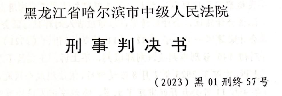 全面解析职务认定的标准、流程与注意事项：涵各类职务界定与法律适用问题