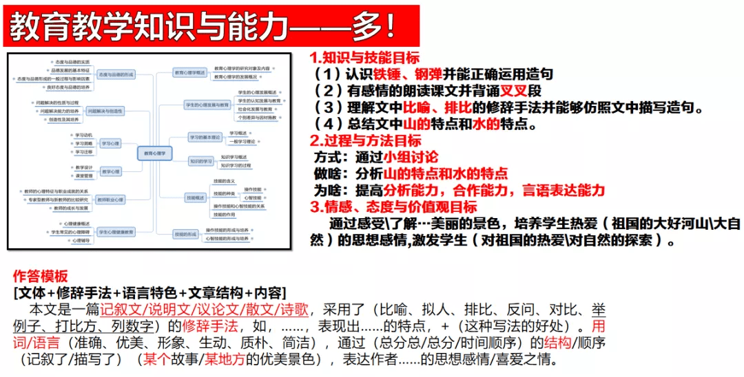 文状元官方网站：权威教育资源整合平台，全面助力考生备考与学