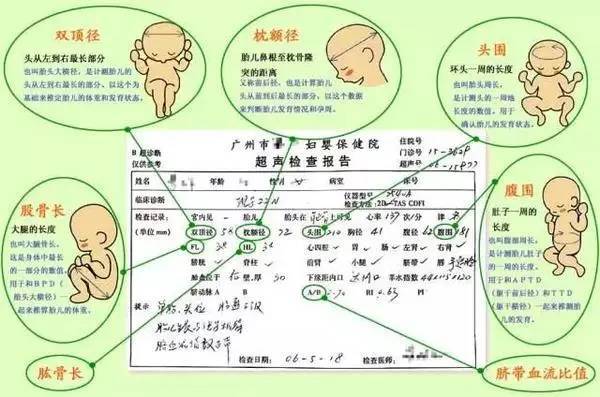 全面解读：孕期检查报告分析与常见问题解答