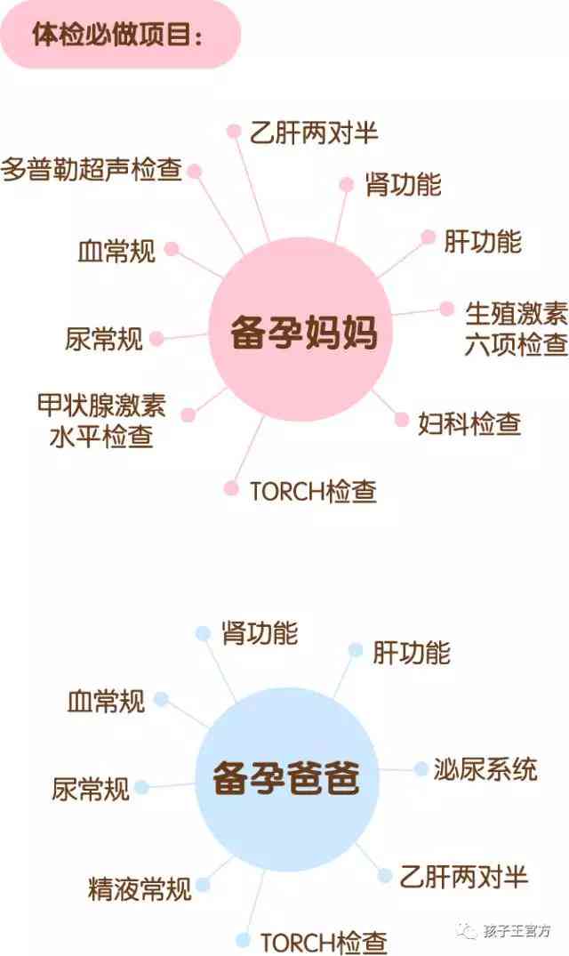 孕期全息检查报告单详解：解读各项指标与注意事项