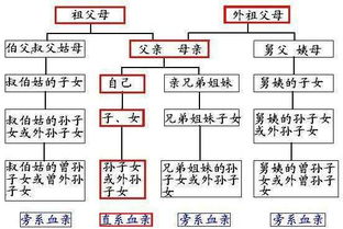 '员工及其直系家庭成员'