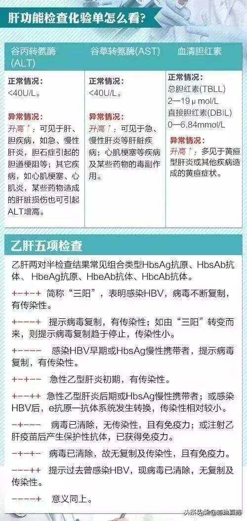 深入解析：如何快速读懂体检报告中的关键指标