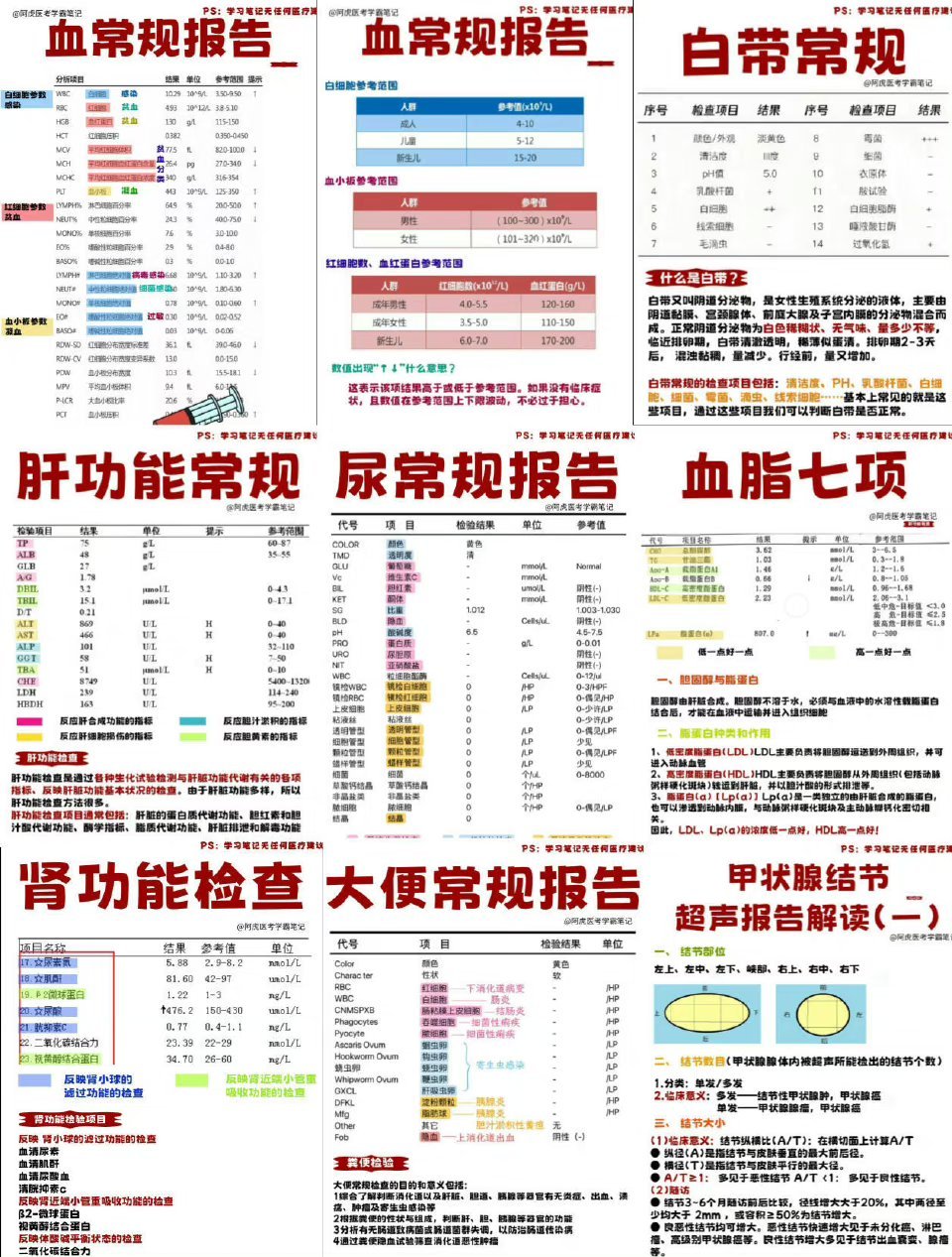 全方位解读体检报告：常见术语含义与健状况分析指南