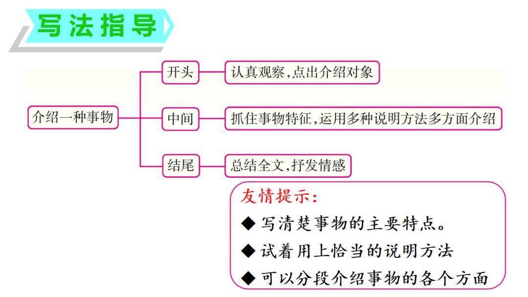 从构思到完稿：全方位解析创作的详细步骤与技巧