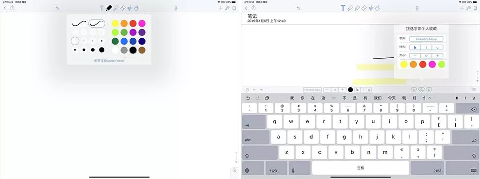 '高效创作伴侣：纯纯写作专用iPad版'