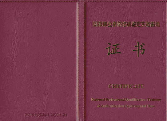 聘书与劳动合同的区别及法律效力分析：详解二者在职场中的应用与界定