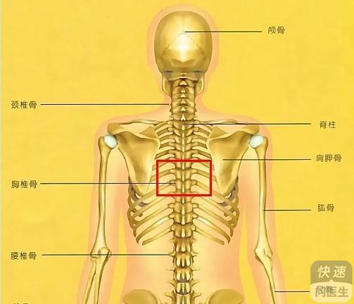 慢性肌筋膜炎：日常劳动能力受影响程度解析