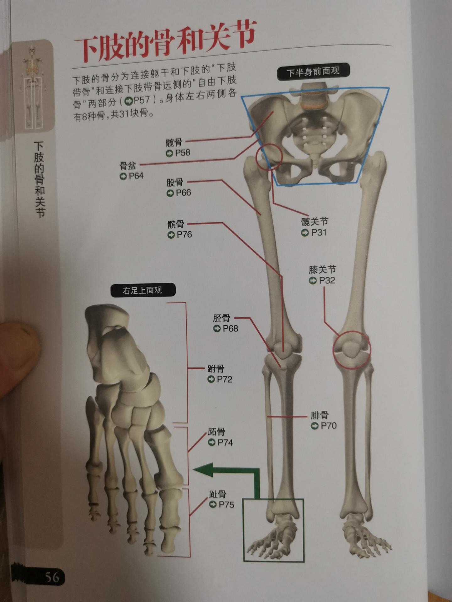 肌腱损伤更高评几级工伤及伤残等级判定标准