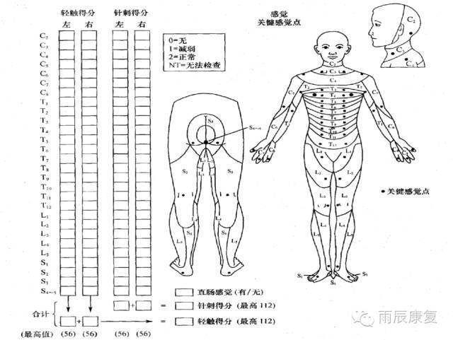 '肌腱损伤评定伤残等级的可能性与标准分析'