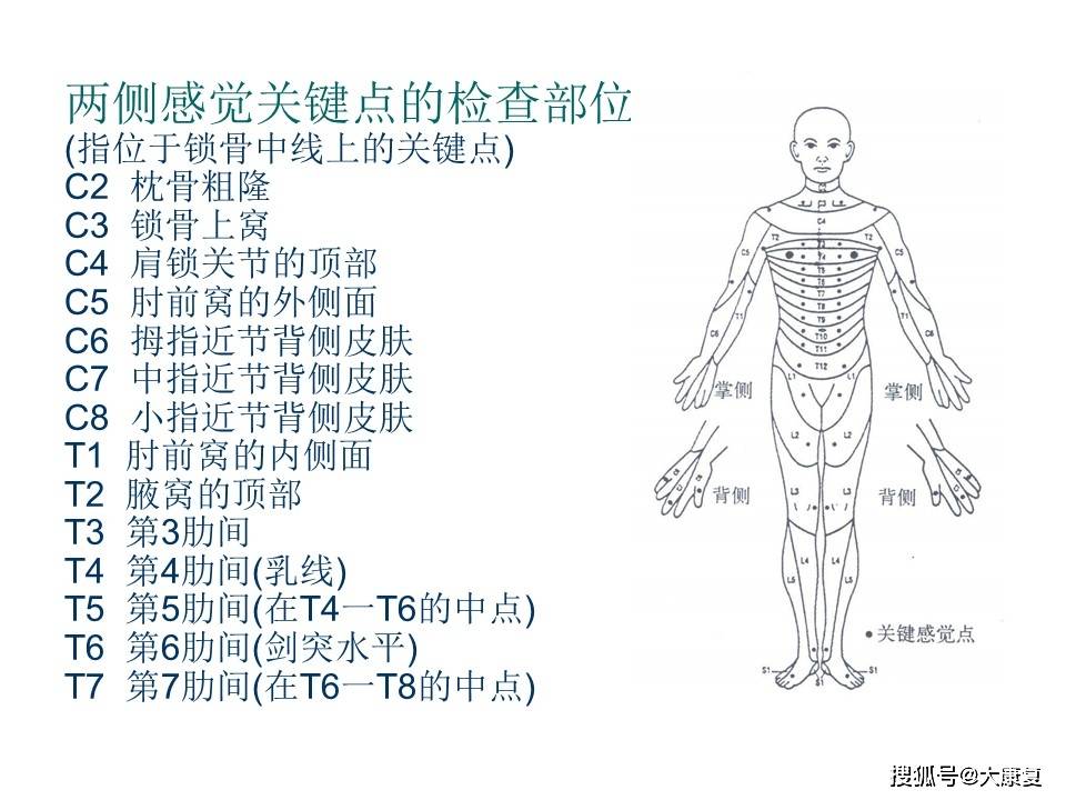 '肌腱损伤评定伤残等级的可能性与标准分析'