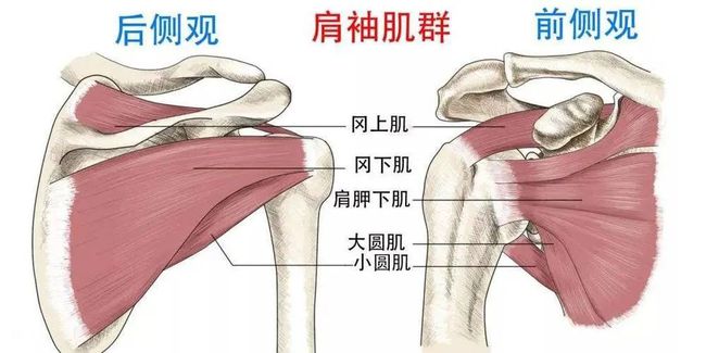 肌腱撕裂伤残评定：如何确定伤残等级及赔偿标准