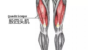 肌腱撕裂伤残评定：如何确定伤残等级及赔偿标准