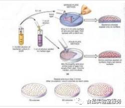 肛瘘认定工伤吗：肛瘘算工伤吗及如何赔偿？