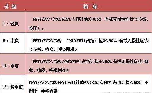 肺功能损伤程度分等级标准：国内外具体划分方法概述