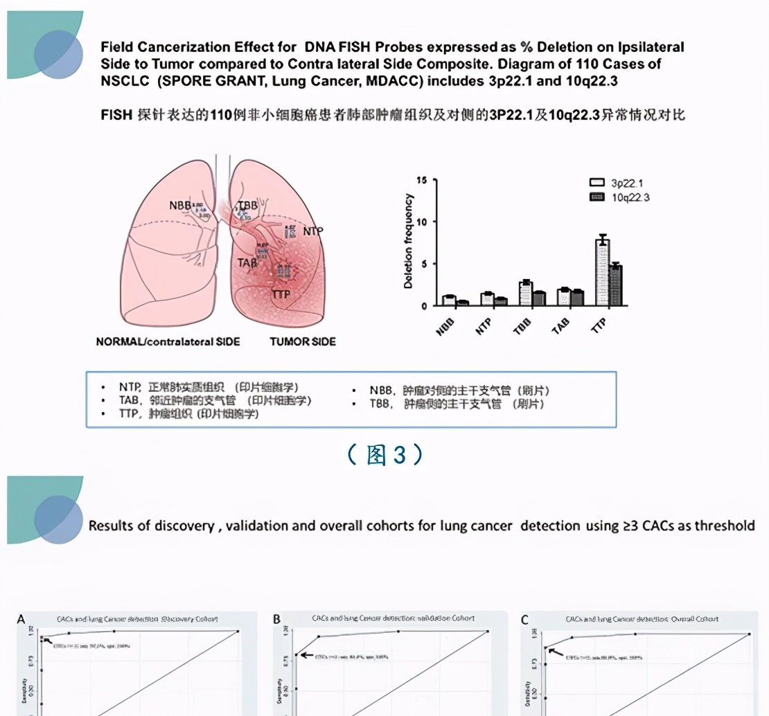 肺癌的发现时长：从潜伏到确诊的全程解析与早期迹象探究