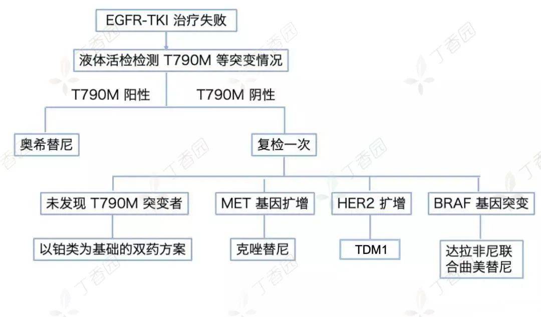 肺癌患者病退申请全解析：早期肺癌能否办理病退及所需条件流程