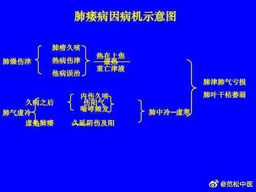 职业环境与肺部纤维化：探讨其归类为职业病的依据与标准