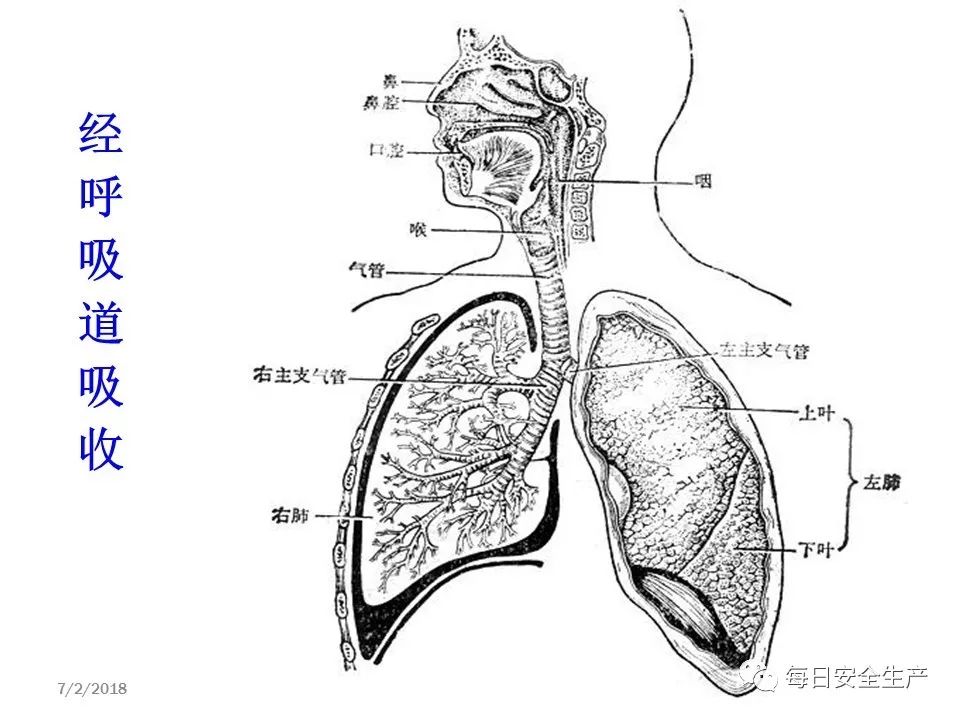 肺结节能认定职业病吗：如何鉴定肺结节是否为职业病？