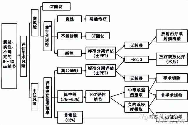 肺部结节能否被认定为工伤：条件、流程与常见疑问解析