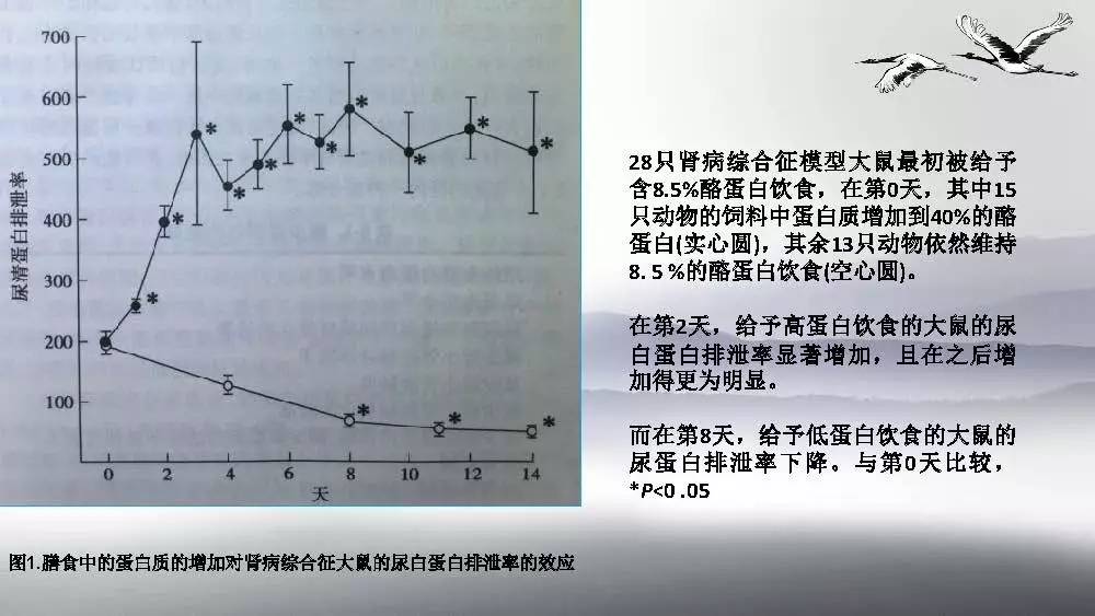 肾病综合征是否构成残疾：从医学角度解析其影响与界定