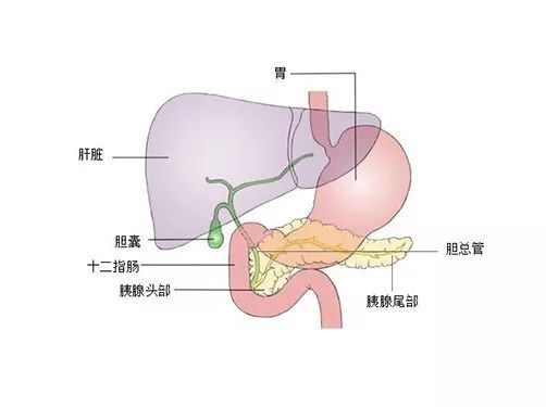 胆囊切除可以认定工伤吗