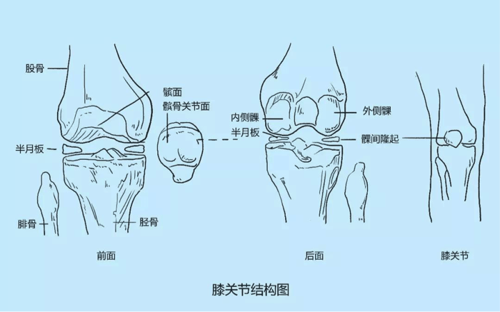 运动导致的胫骨肌腱损伤：诊断与治疗策略