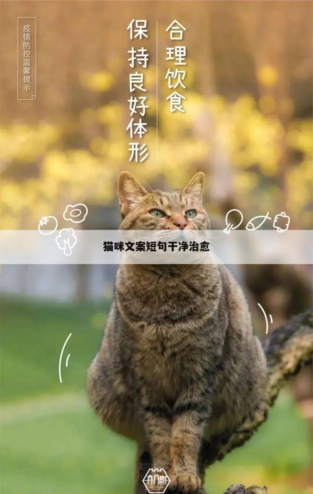 小猫咪ai绘画文案短句