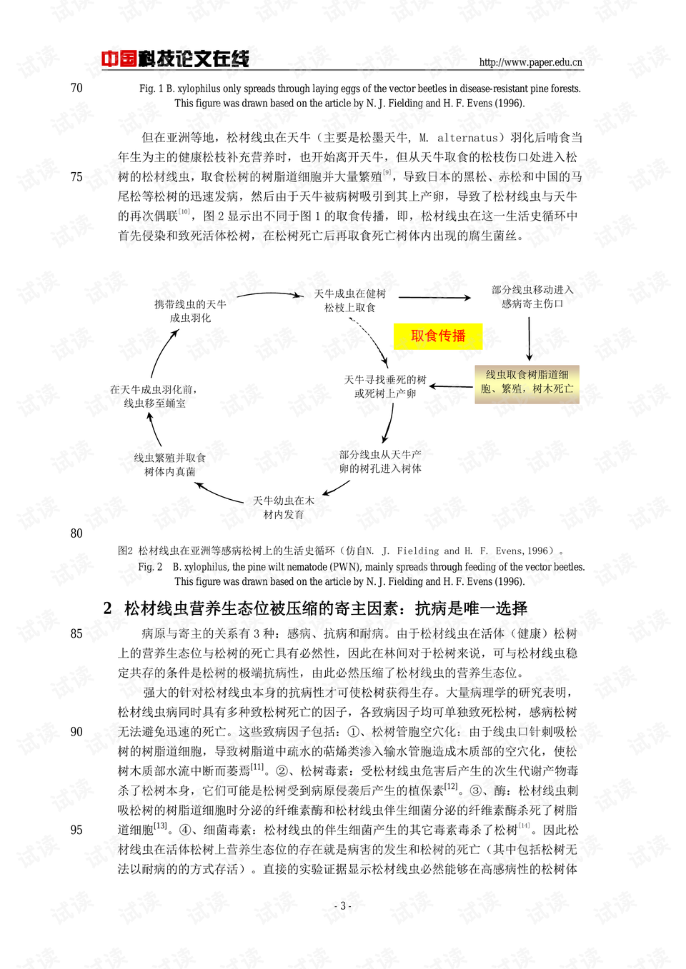 意境作品：含义、举例、析及标题与文案撰写指南