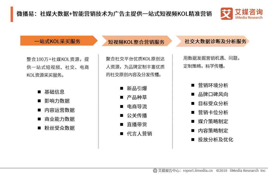 '运用专业软件制作社会实践报告：高效整合关键词与数据展示'