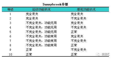 脊椎损伤程度分级：详解脊椎伤残级别评定标准