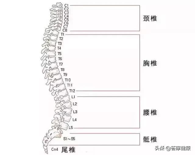 脊椎错位的伤情级别划分及其对应的健影响和治疗方案解析