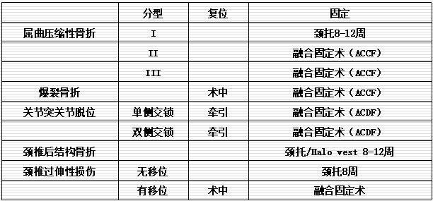 脊椎错位的伤情级别划分及其对应的健影响和治疗方案解析