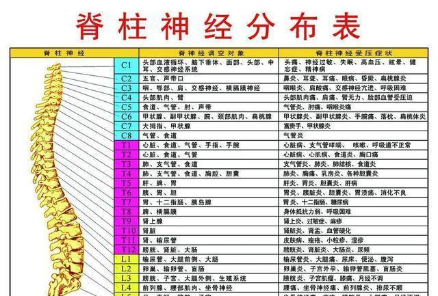 脊椎错位的伤情级别划分及其对应的健影响和治疗方案解析