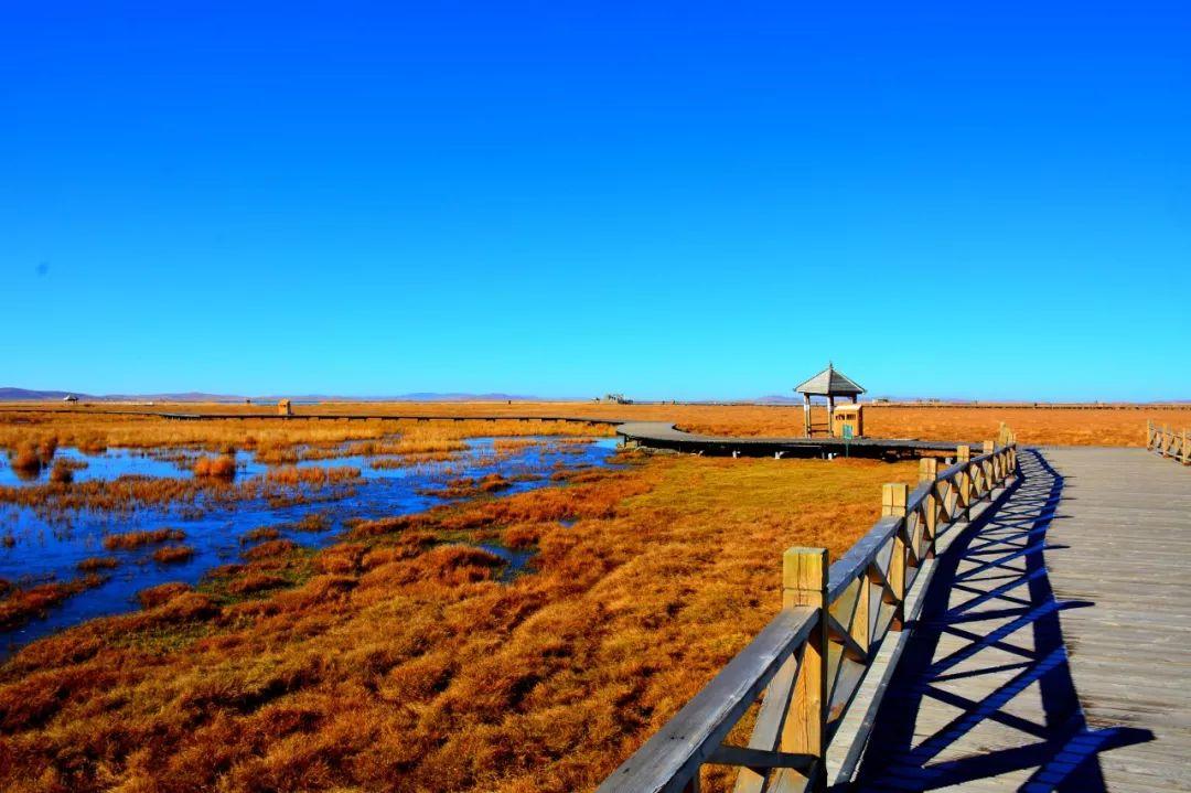 旅游博主ai写文案怎么写