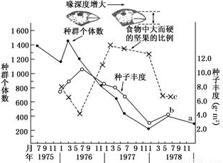 深入剖析：细节描写的多重作用与实际应用解析