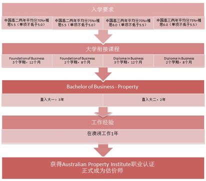 斯坦福ihp项目：全面解析申请流程、课程设置与职业发展前景