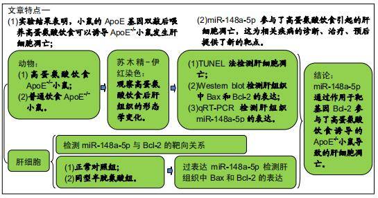 全面解读：脑出血工伤认定的标准、流程与常见问题解析