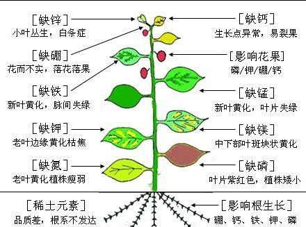 脑出血后植物状态患者生存期限及生活质量探究