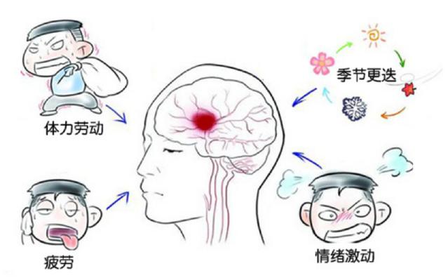 脑出血植物人能恢复正常人吗：恢复可能性及生存期限解析