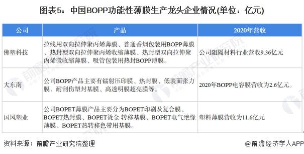 'AI检测报告打印故障排查与解决指南'