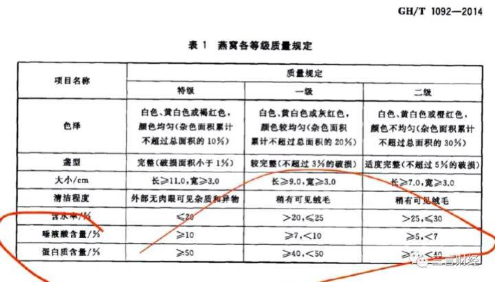 AI检测报告打印问题全解析：解决打印失败、显示异常及常见故障指南