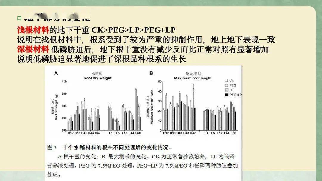 外国人写的作业：称谓、内容、写作惯及教育反应探究