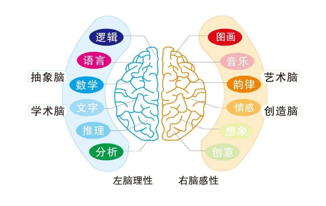 脑部受伤工伤鉴定多长时间鉴定及标准，从鉴定到完成所需时长解析