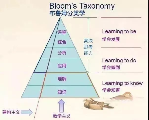 探索多样化AI写作辅助工具类型及其应用特点