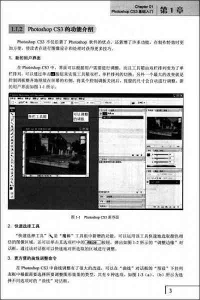 ps与ai软件基础操作实训报告