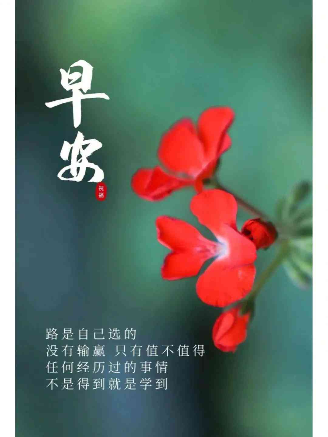 小红书ai文案模板怎么做